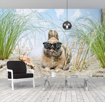 Picture of Kaninchen mit Sonnenbrille in den Dnen